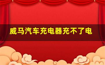 威马汽车充电器充不了电