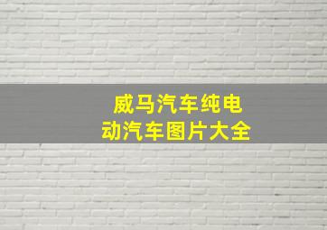 威马汽车纯电动汽车图片大全