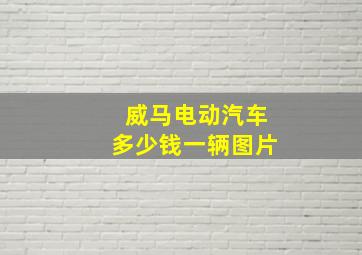 威马电动汽车多少钱一辆图片