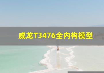 威龙T3476全内构模型