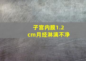 子宫内膜1.2cm月经淋漓不净