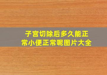 子宫切除后多久能正常小便正常呢图片大全