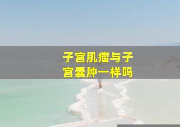 子宫肌瘤与子宫囊肿一样吗