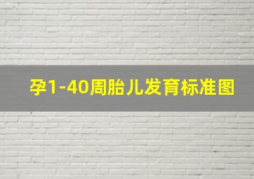 孕1-40周胎儿发育标准图