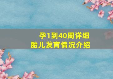 孕1到40周详细胎儿发育情况介绍