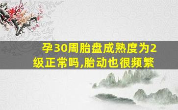 孕30周胎盘成熟度为2级正常吗,胎动也很频繁