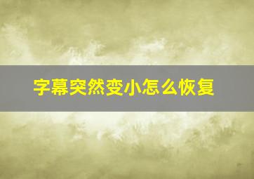 字幕突然变小怎么恢复