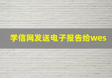 学信网发送电子报告给wes