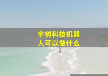 宇树科技机器人可以做什么