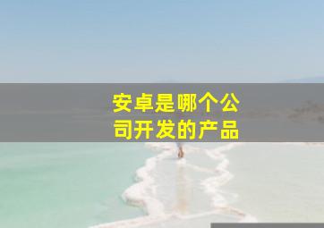 安卓是哪个公司开发的产品