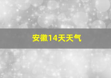 安徽14天天气