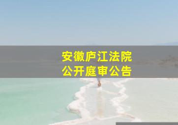 安徽庐江法院公开庭审公告