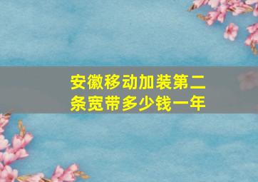 安徽移动加装第二条宽带多少钱一年