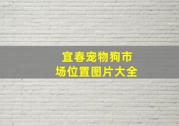 宜春宠物狗市场位置图片大全