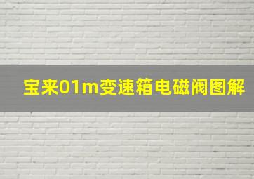 宝来01m变速箱电磁阀图解