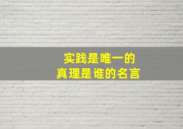 实践是唯一的真理是谁的名言