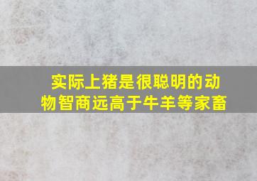 实际上猪是很聪明的动物智商远高于牛羊等家畜