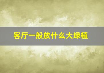 客厅一般放什么大绿植