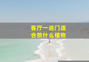 客厅一进门适合放什么植物