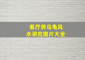 客厅养乌龟风水讲究图片大全