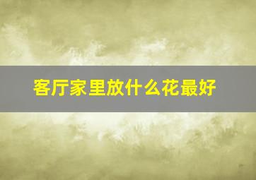 客厅家里放什么花最好