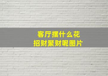 客厅摆什么花招财聚财呢图片