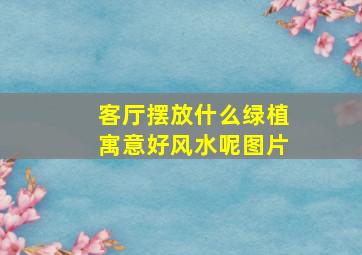 客厅摆放什么绿植寓意好风水呢图片