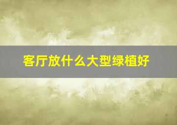 客厅放什么大型绿植好