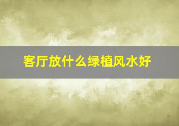 客厅放什么绿植风水好