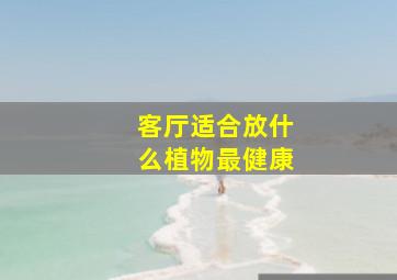 客厅适合放什么植物最健康