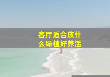 客厅适合放什么绿植好养活