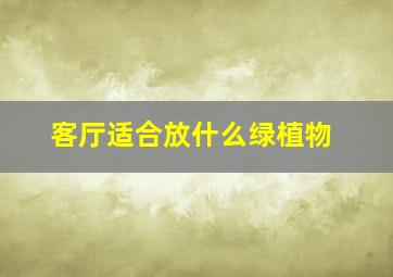 客厅适合放什么绿植物