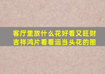 客厅里放什么花好看又旺财吉祥鸿片看看运当头花的图