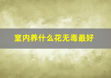 室内养什么花无毒最好