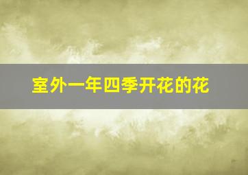 室外一年四季开花的花