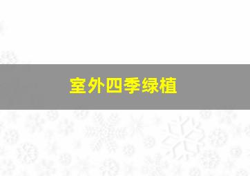 室外四季绿植