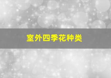 室外四季花种类