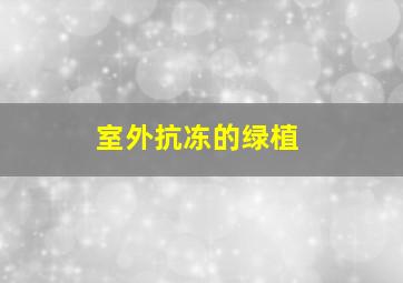 室外抗冻的绿植