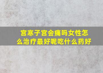 宫寒子宫会痛吗女性怎么治疗最好呢吃什么药好