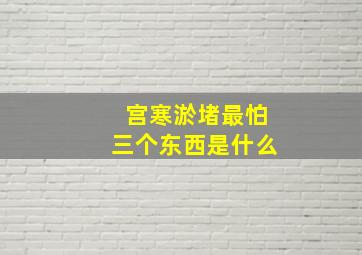 宫寒淤堵最怕三个东西是什么