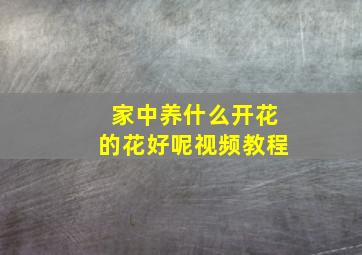 家中养什么开花的花好呢视频教程