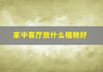 家中客厅放什么植物好