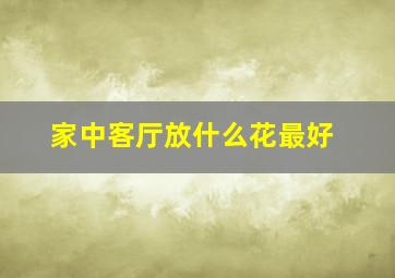 家中客厅放什么花最好