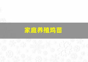 家庭养殖鸡苗