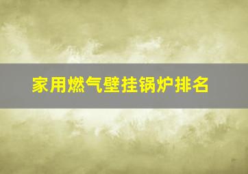 家用燃气壁挂锅炉排名