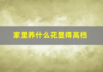 家里养什么花显得高档