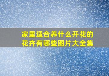 家里适合养什么开花的花卉有哪些图片大全集