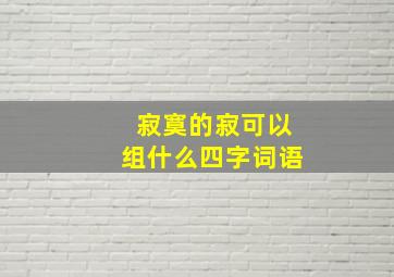 寂寞的寂可以组什么四字词语