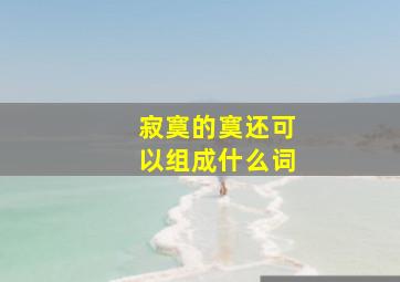 寂寞的寞还可以组成什么词