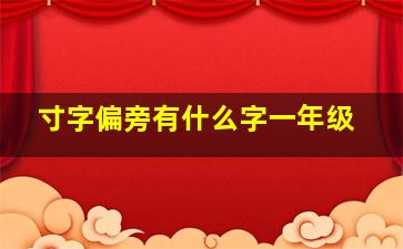 寸字偏旁有什么字一年级